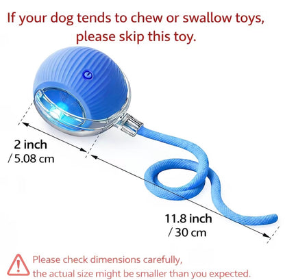 Interactive Cat & Dog Teaser Toy with Two Additional Tails, Kitten Rolling Ball Toy, Pet Supplies, Dog & Cat Accessories Cute Dog Toys
