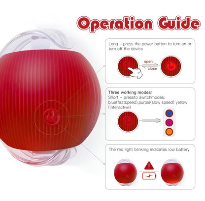 Interactive Cat & Dog Teaser Toy with Two Additional Tails, Kitten Rolling Ball Toy, Pet Supplies, Dog & Cat Accessories Cute Dog Toys