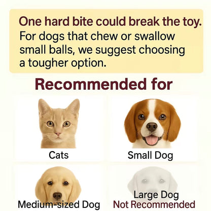 Interactive Cat & Dog Teaser Toy with Two Additional Tails, Kitten Rolling Ball Toy, Pet Supplies, Dog & Cat Accessories Cute Dog Toys