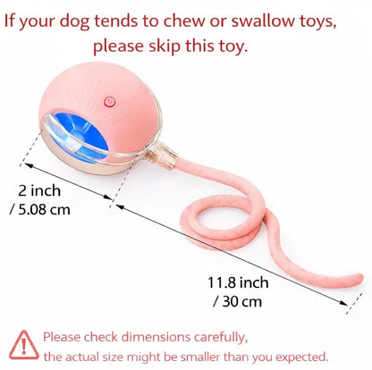 Interactive Cat & Dog Teaser Toy with Two Additional Tails, Kitten Rolling Ball Toy, Pet Supplies, Dog & Cat Accessories Cute Dog Toys