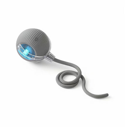 Interactive Cat & Dog Teaser Toy with Two Additional Tails, Kitten Rolling Ball Toy, Pet Supplies, Dog & Cat Accessories Cute Dog Toys