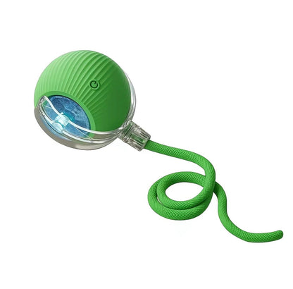 Interactive Cat & Dog Teaser Toy with Two Additional Tails, Kitten Rolling Ball Toy, Pet Supplies, Dog & Cat Accessories Cute Dog Toys