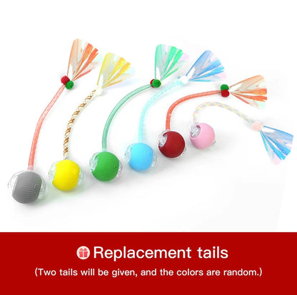 Interactive Cat & Dog Teaser Toy with Two Additional Tails, Kitten Rolling Ball Toy, Pet Supplies, Dog & Cat Accessories Cute Dog Toys